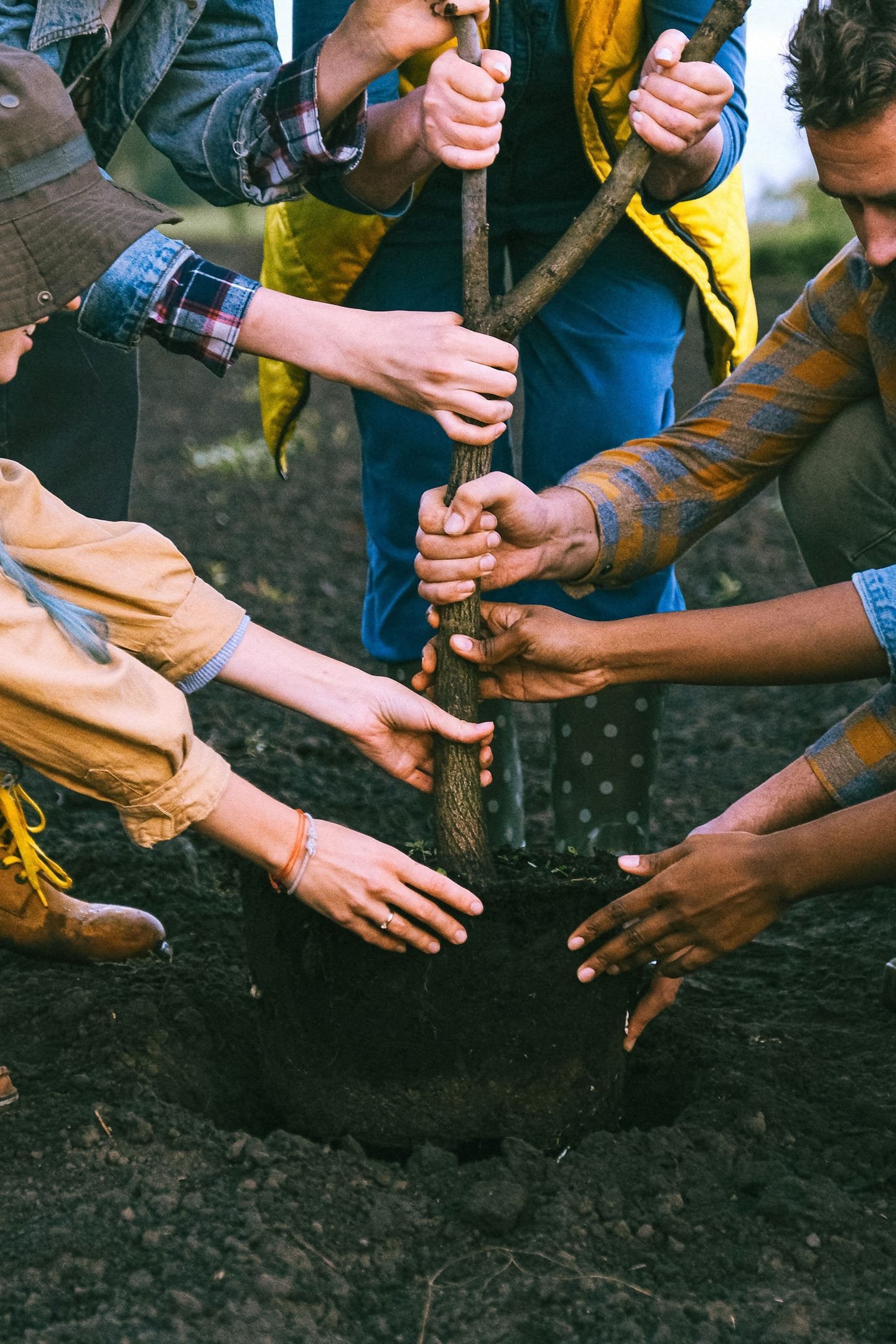 Environmental sustainability collaboration team